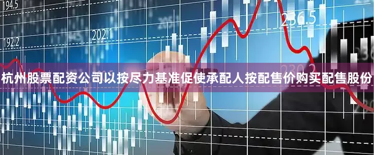 杭州股票配资公司以按尽力基准促使承配人按配售价购买配售股份