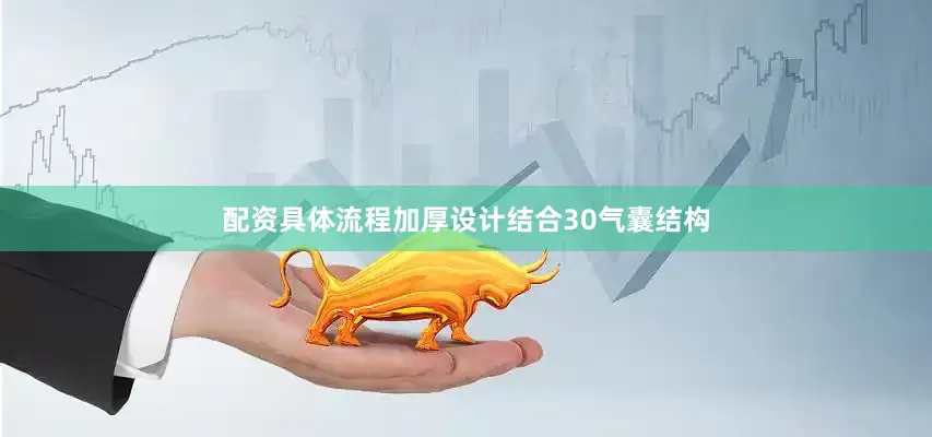配资具体流程加厚设计结合30气囊结构