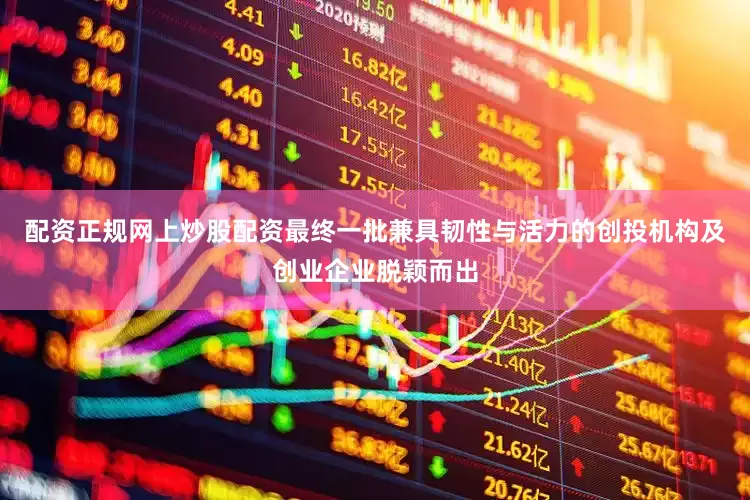 配资正规网上炒股配资最终一批兼具韧性与活力的创投机构及创业企业脱颖而出